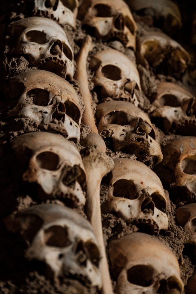 Evora Bones