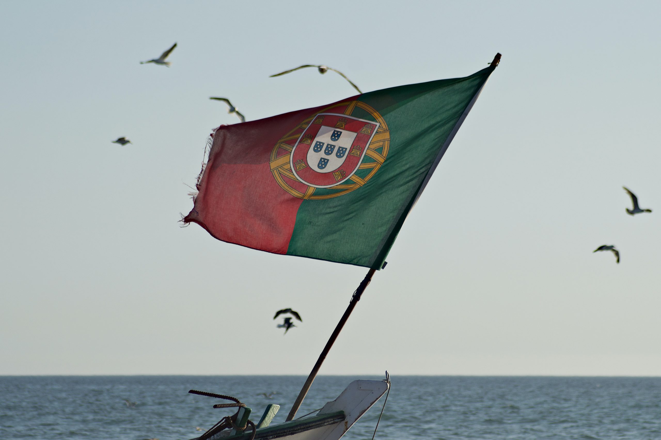 van life portugal