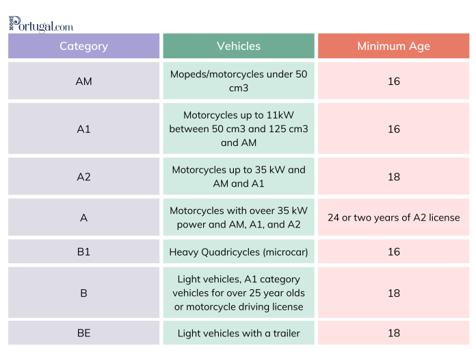 Getting a Portuguese Driving License