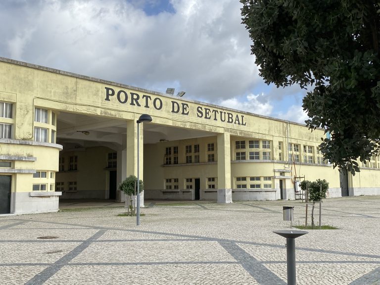 Police seize over 8 tons of cocaine in Setubal