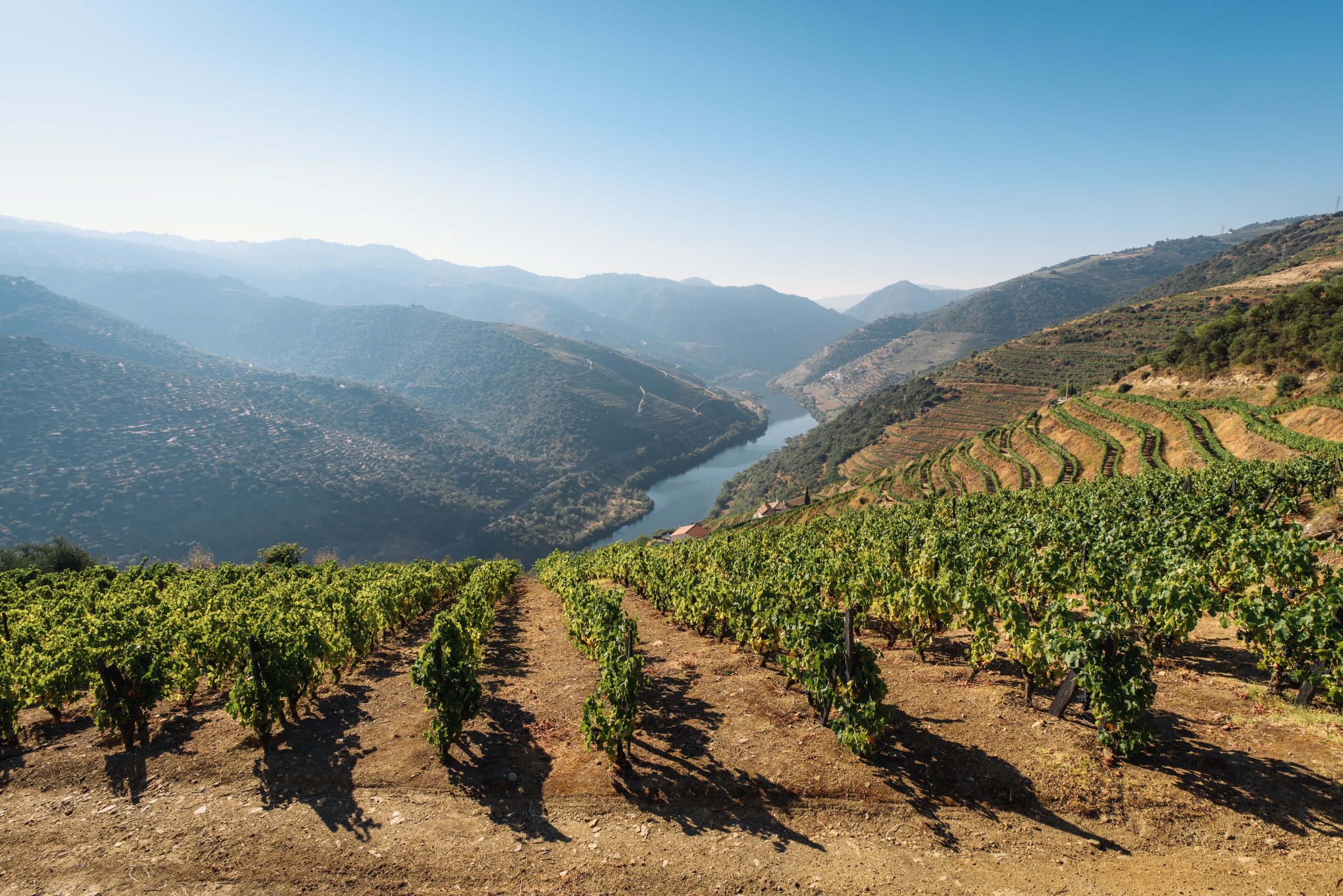 douro valley without tour