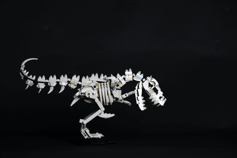 Huge dinosaur skeleton found in man’s backyard in Portugal