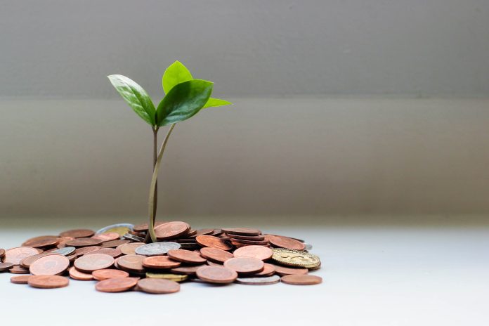 Social Security in Portugal