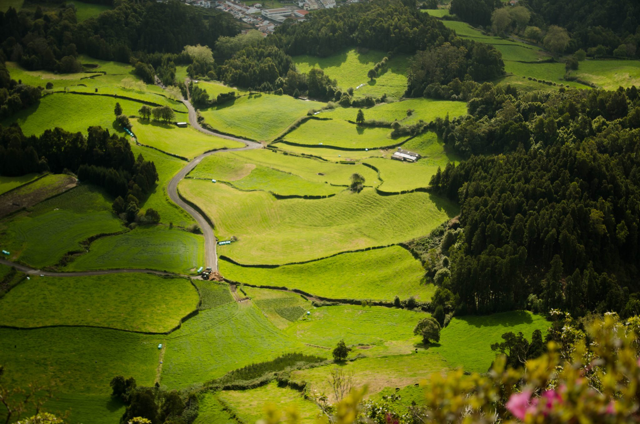 5 Best Things to Do in Sao Miguel, Azores