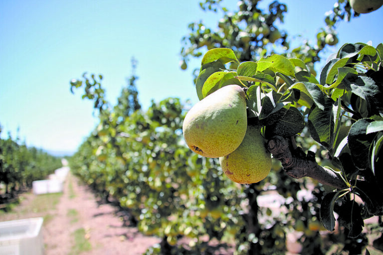 Beyond the Pastel de Nata: 9 Best Portuguese Foods That Are Still Under the Radar