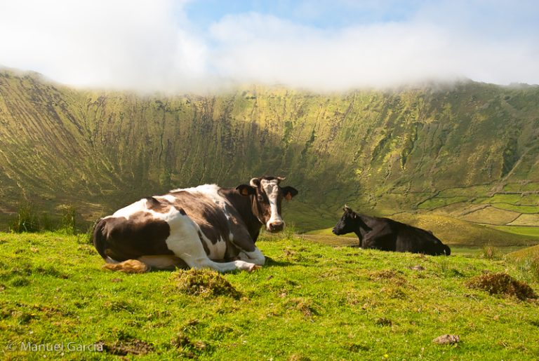 6 Best Things to Do in Corvo, Azores