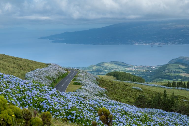 6 Best Things to Do in Faial, Azores