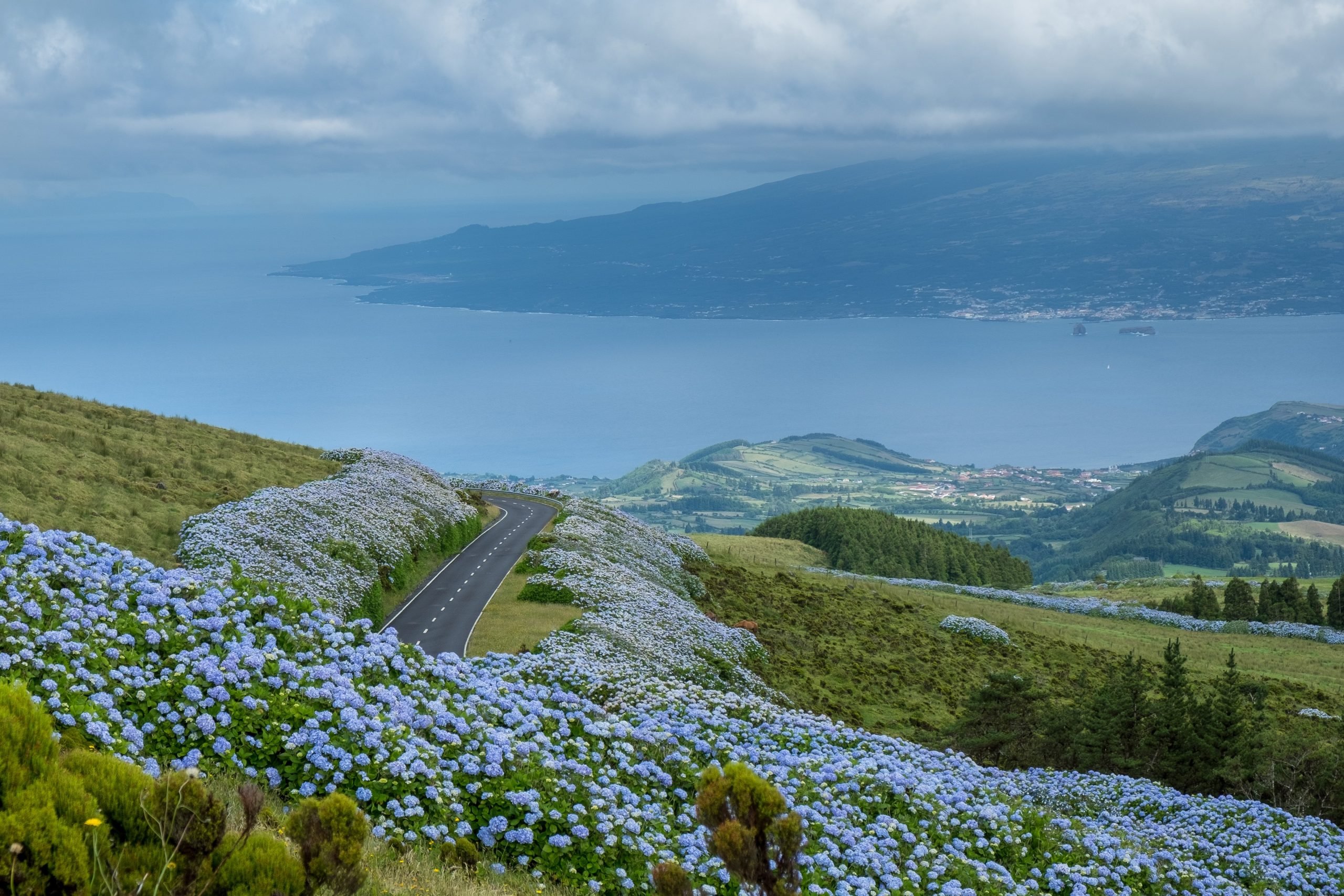 visit azores faial