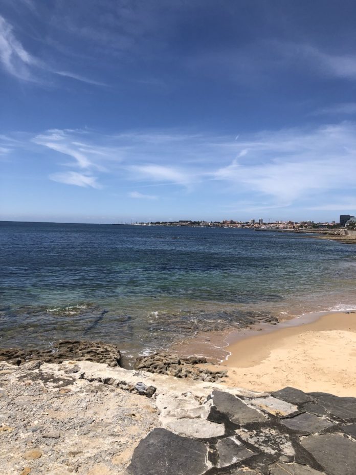 5 Best Neighborhoods to Live in Cascais