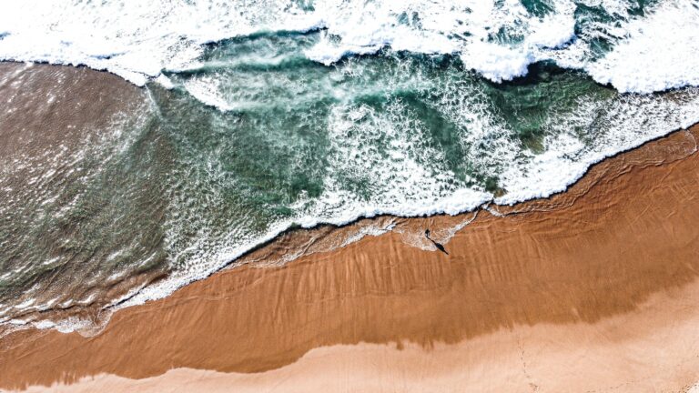 Portugal and California strengthen ties through surfing and conservation