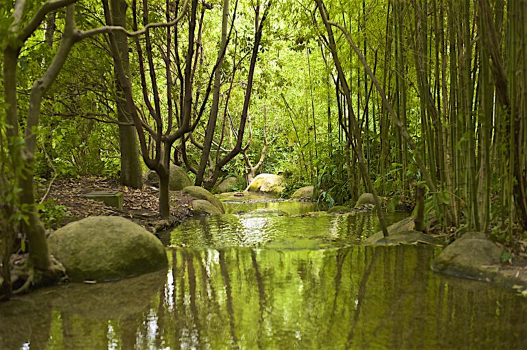 Central Portugal’s Folk Tales