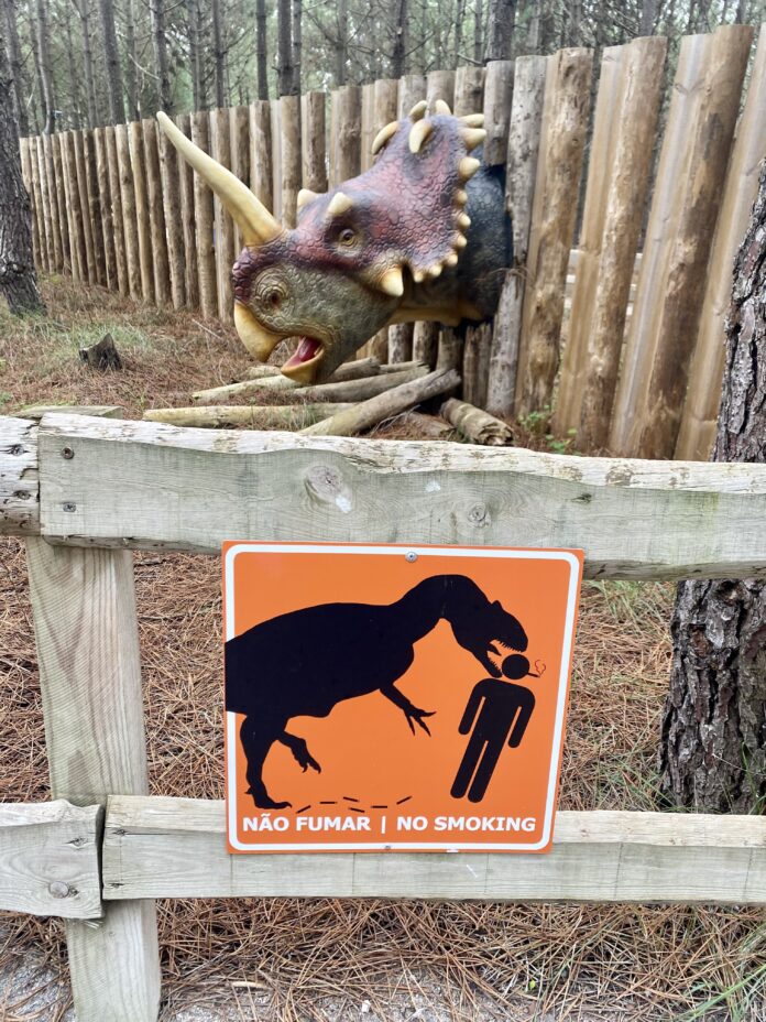 WHAT NOT TO DO IN PORTUGAL intelligence overview