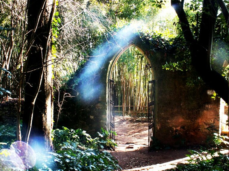 In the mood for love in Portugal: the timeless story of Inês de Castro and King Pedro I