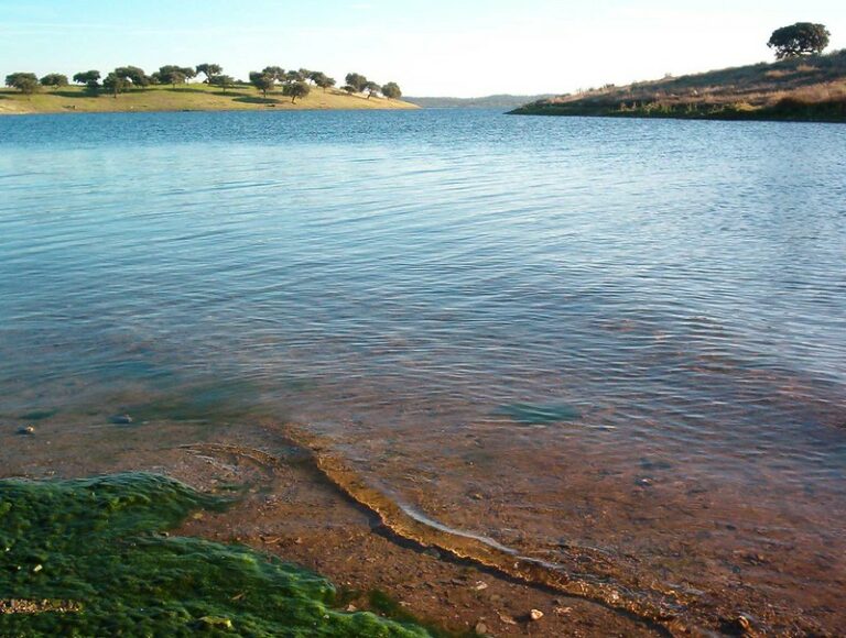 The Alqueva Dam – An Oasis in the Alentejo