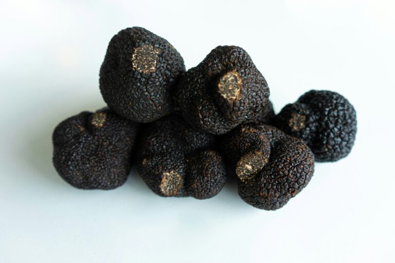 Black Truffles Have Been Found In Portugal