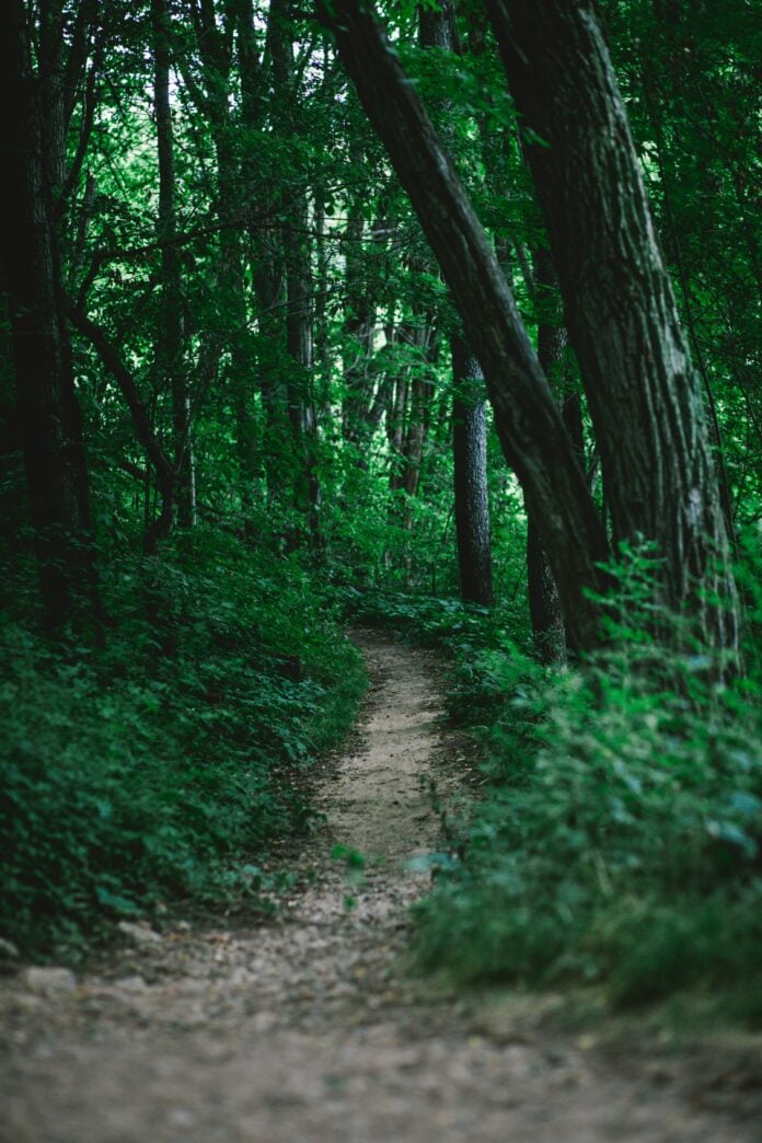 maddy-baker-vII834XaQsE-unsplash