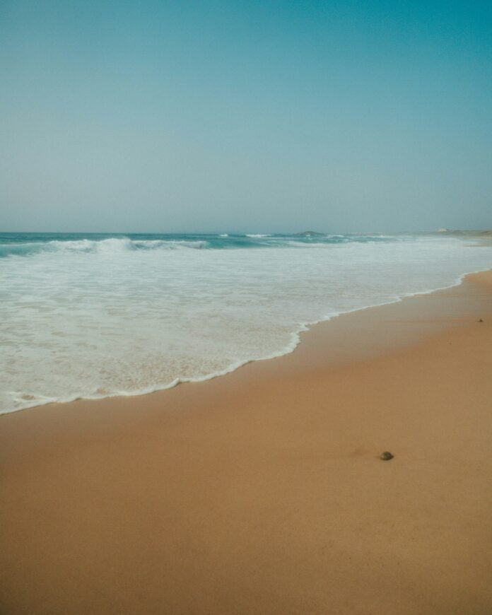 mariana-bras-1xm0wGM8CIs-unsplash