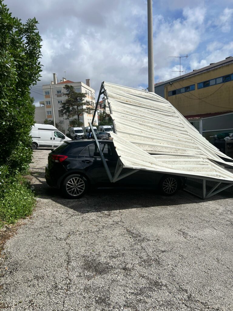 Counting the Cost of Storm Martinho