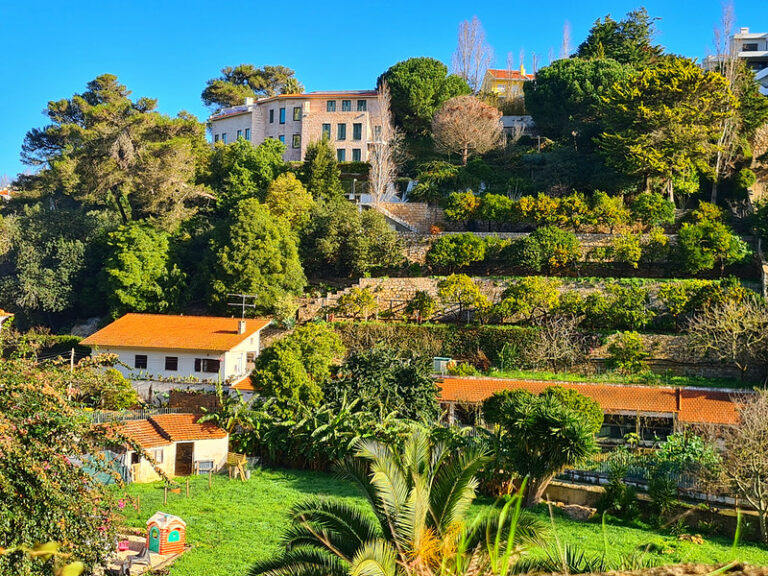 Discover the Ribeira das Vinhas Trail in Cascais – Less Than One Hour from Lisbon