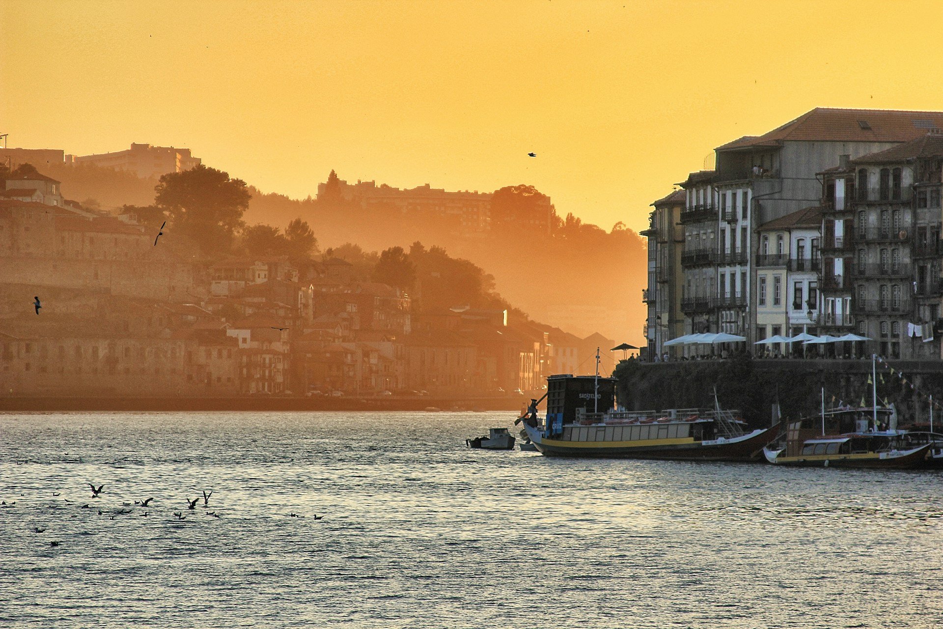 Porto September events