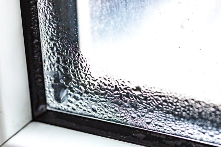 Beating Winter Humidity in Portugal: Why Homes Get Damp and What You Can Do About It Beating Winter Humidity in Portugal: Why Homes Get Damp and What You Can Do About It