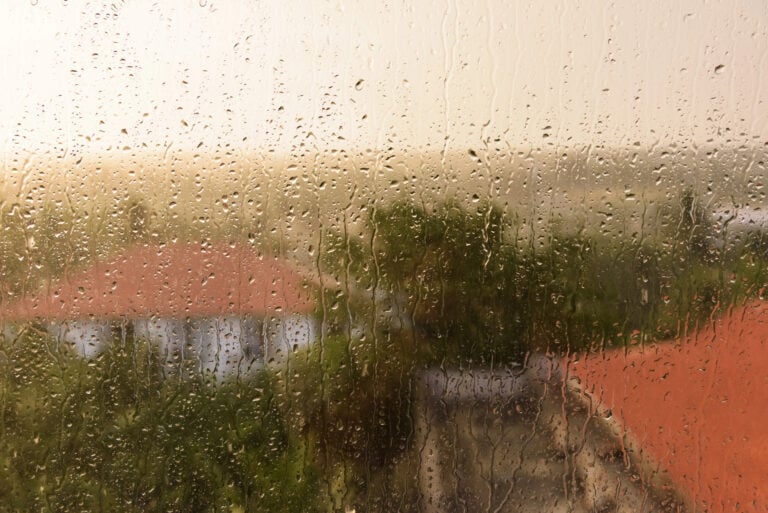 Portugal Struggles to Recover as Winter Storms Continue