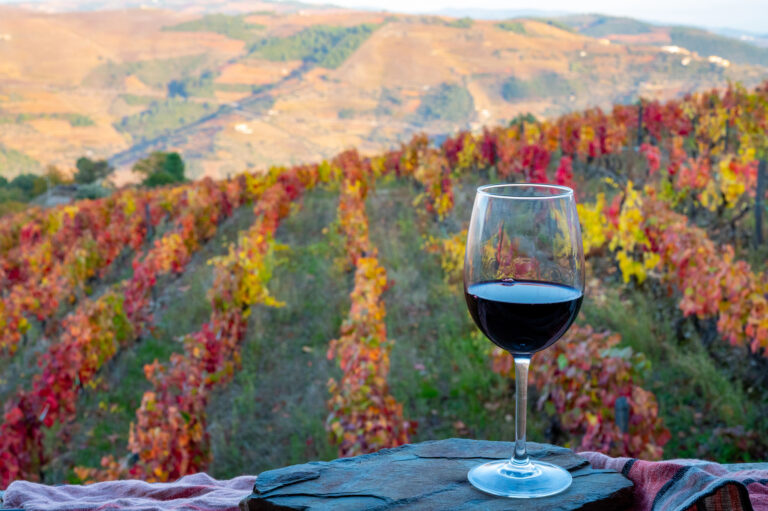 Pour Decisions? Never. Your Guide to Falling in Love with Portuguese Wine and Grapes